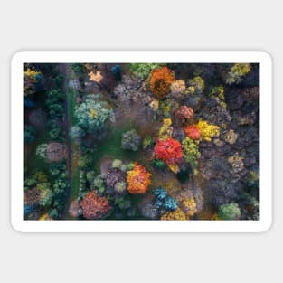 Fall colours from above Sticker